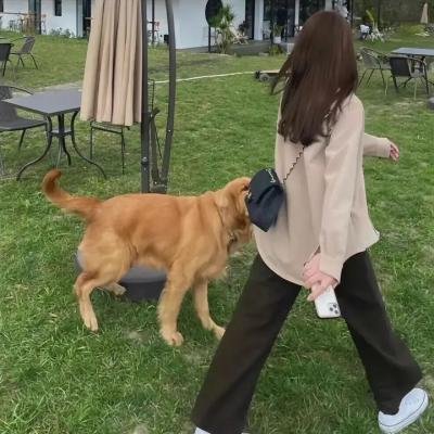 牧羊人们